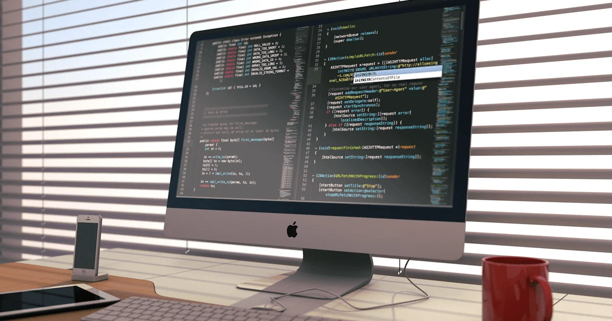 web-developer-west-palm-beach