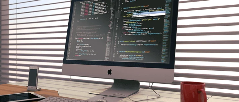Web Developer West Palm Beach